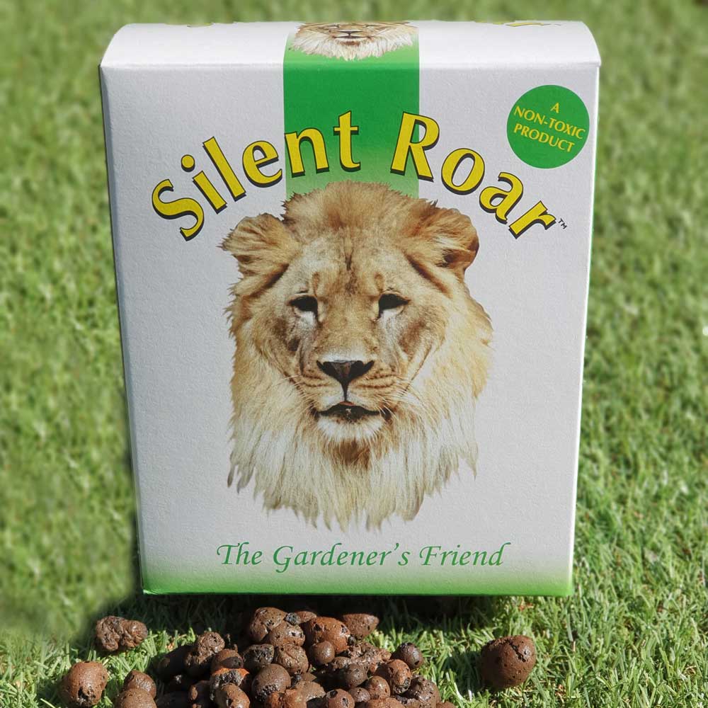 Silent Roar Easylife