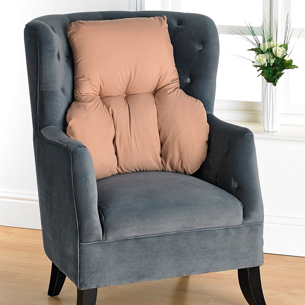 Back Support Cushion Easylife