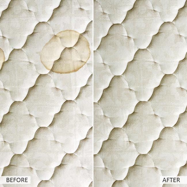 Mattress Stain Remover Easylife