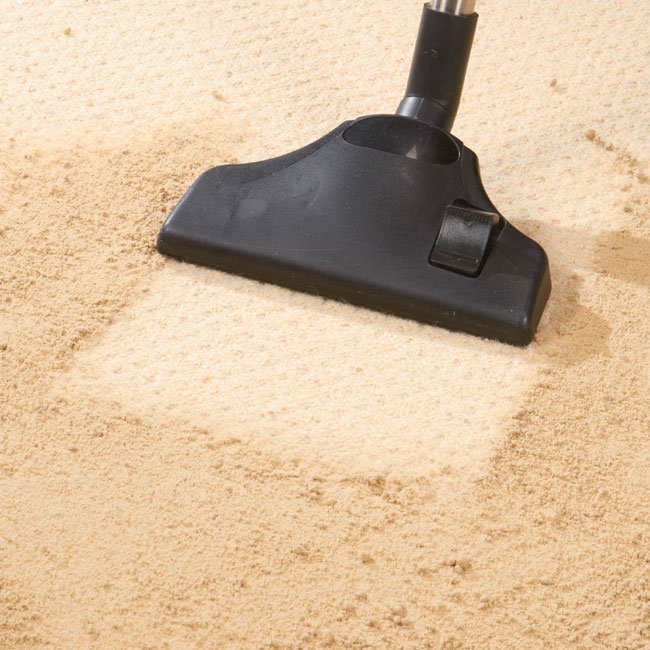 Dry Clean Carpet Powder Easylife