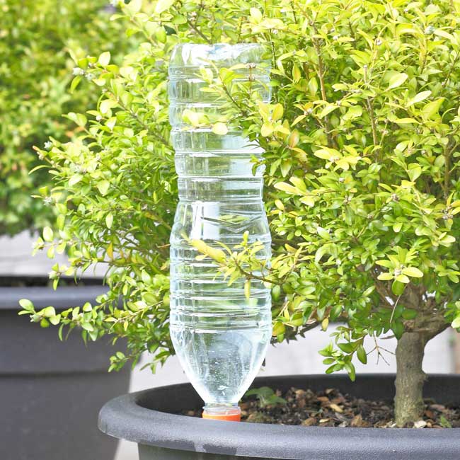 Automatic Watering Spikes (Set of 8) Easylife