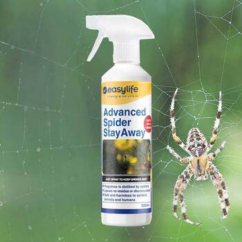 Spider Stayaway (Pack of 3)
