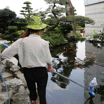 Pool & Pond Vac