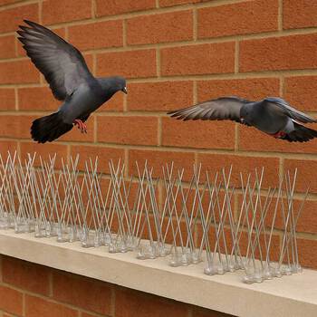 Stainless Steel Bird Spikes (Pack of 20)