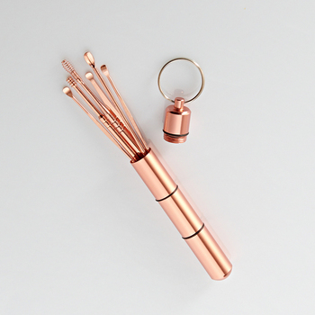 Stainless Steel Ear Cleaner Kit (6pc)