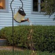 Image 2 Thumbnail