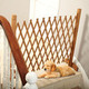 Image 5 Thumbnail