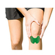 Image 2 Thumbnail
