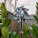 Image 7 Thumbnail
