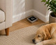 Image 3 Thumbnail